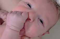 DSC02547__3_.JPG